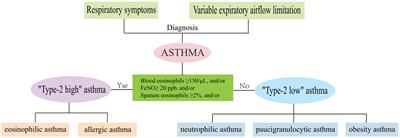 T-helper cells and their cytokines in pathogenesis and treatment of asthma